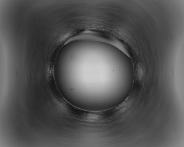X0000087020176200704161607