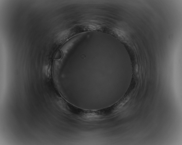 X0000087020177200704161607