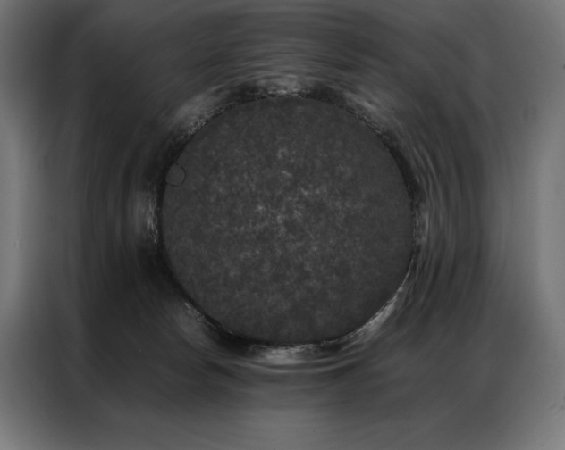 X0000087020178200704161607