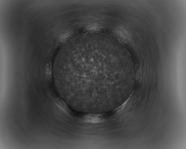 X0000087020179200704161607