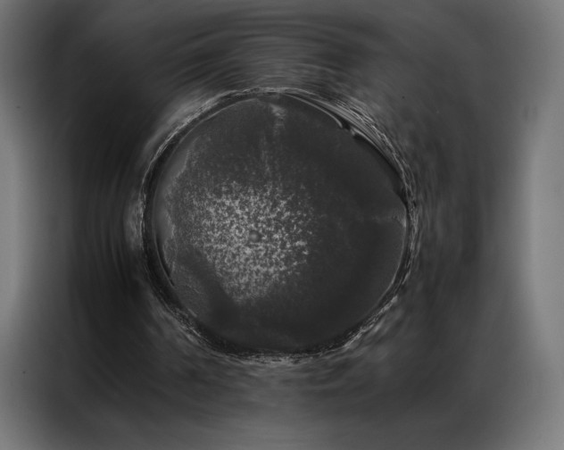 X0000087020194200704161607