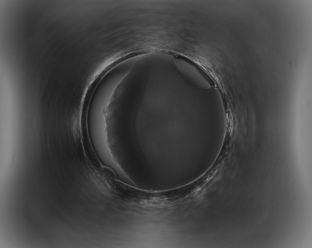 X0000087020196200704161607