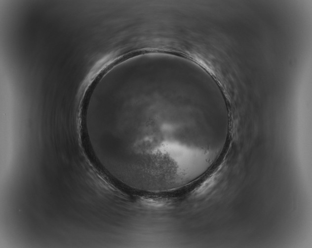 X0000087020199200704161607