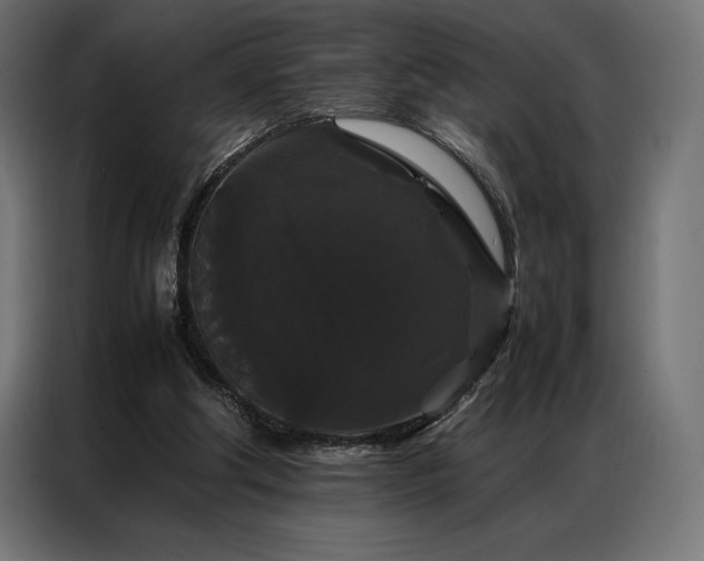 X0000087020202200704161607