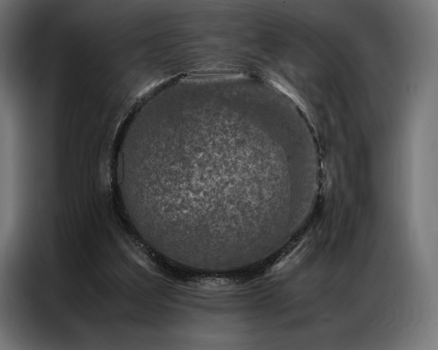 X0000087020203200704161607