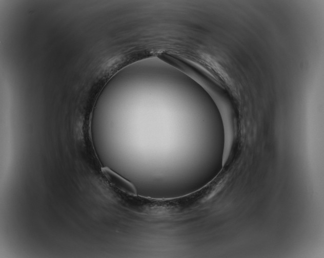 X0000087020209200704161607