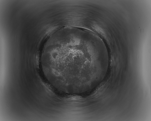 X0000087020210200704161607