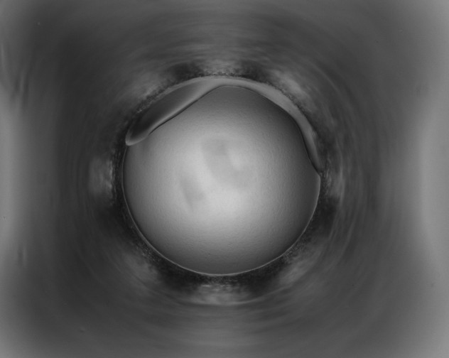 X0000087020211200704161607