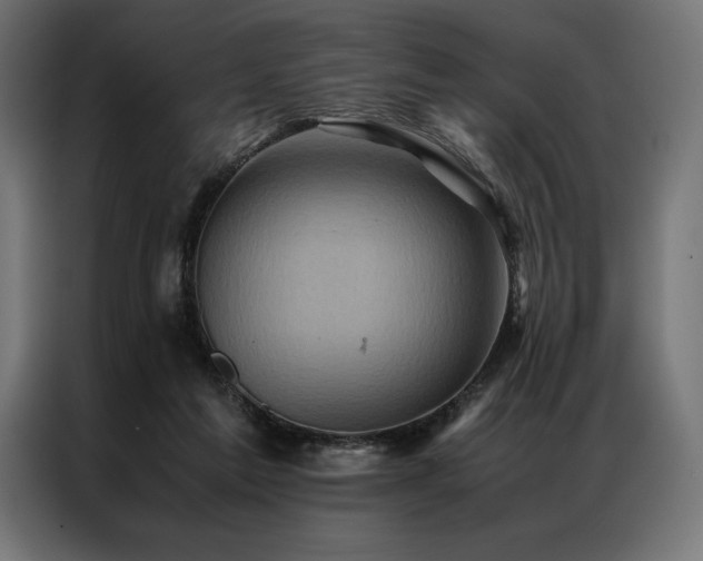 X0000087020213200704161607