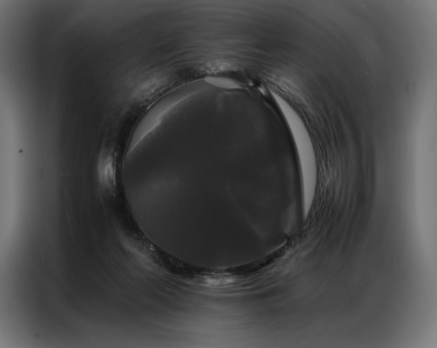 X0000087020214200704161607