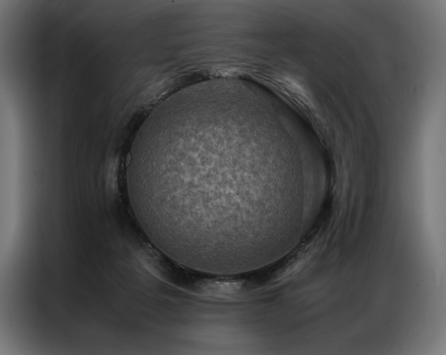 X0000087020217200704161607
