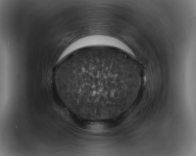 X0000087020218200704161607