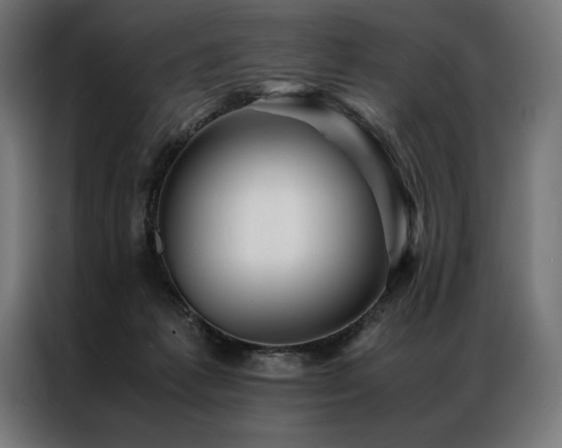 X0000087020221200704161607