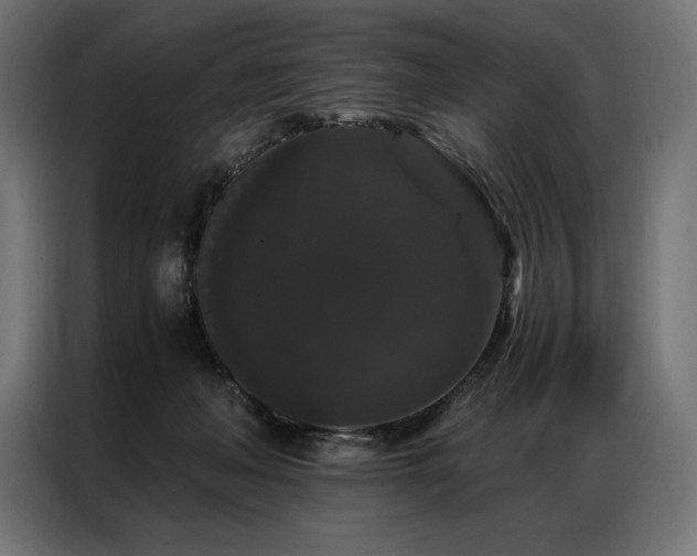 X0000087020222200704161607