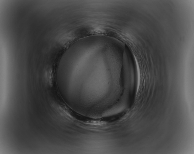 X0000087020223200704161607