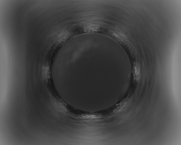X0000087020224200704161607