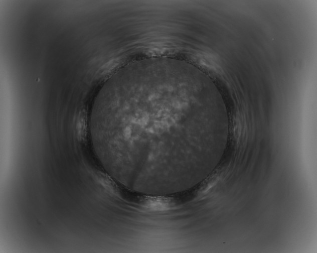 X0000087020226200704161607
