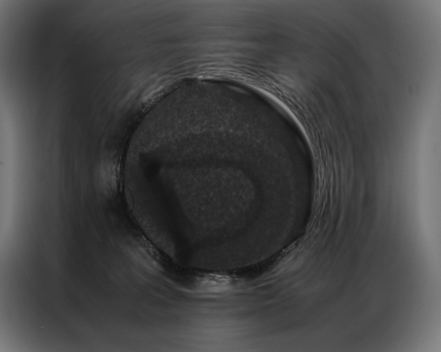 X0000087020227200704161607