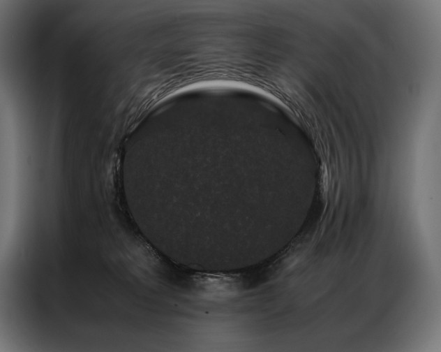 X0000087020229200704161607