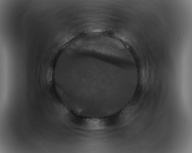 X0000087020230200704161607