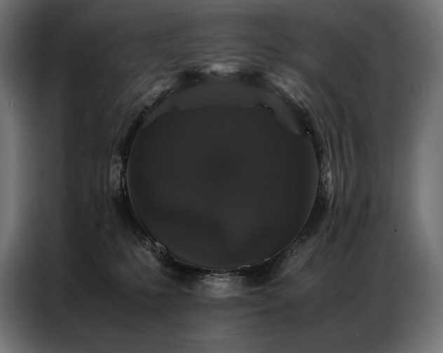 X0000087020231200704161607