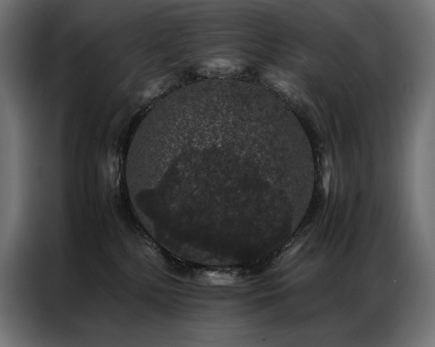 X0000087020232200704161607