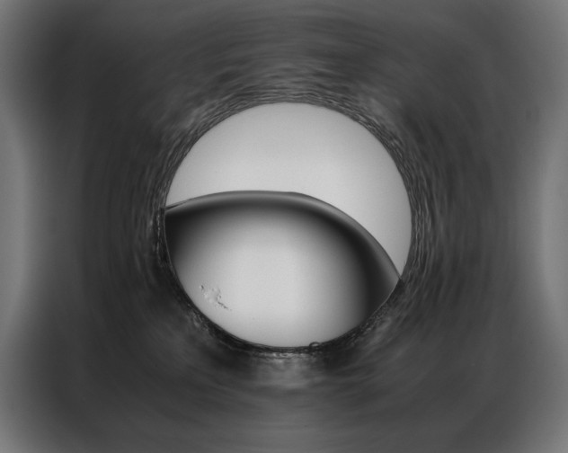 X0000087020233200704161607