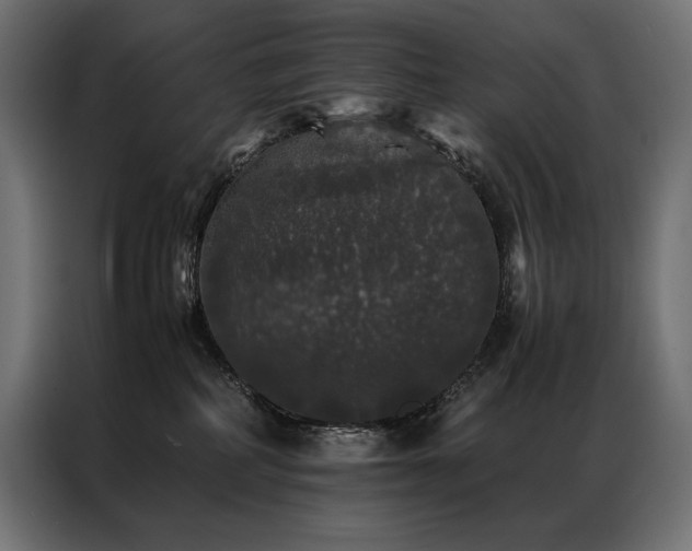 X0000087020234200704161607