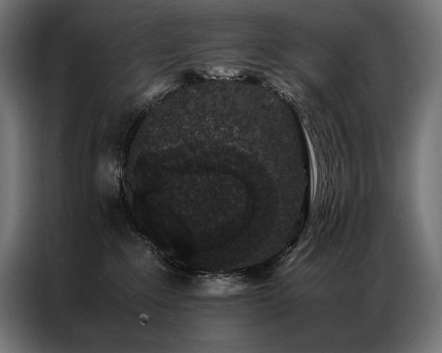 X0000087020235200704161606