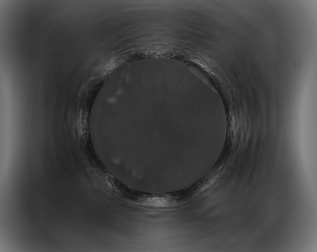 X0000087020236200704161606