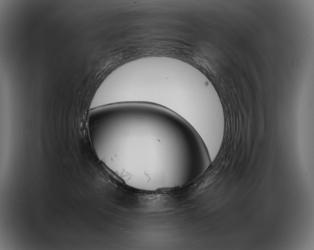 X0000087020237200704161606
