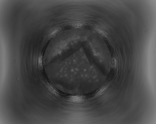 X0000087020238200704161606