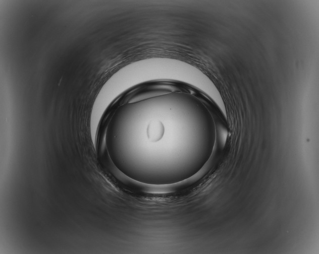 X0000087020239200704161606
