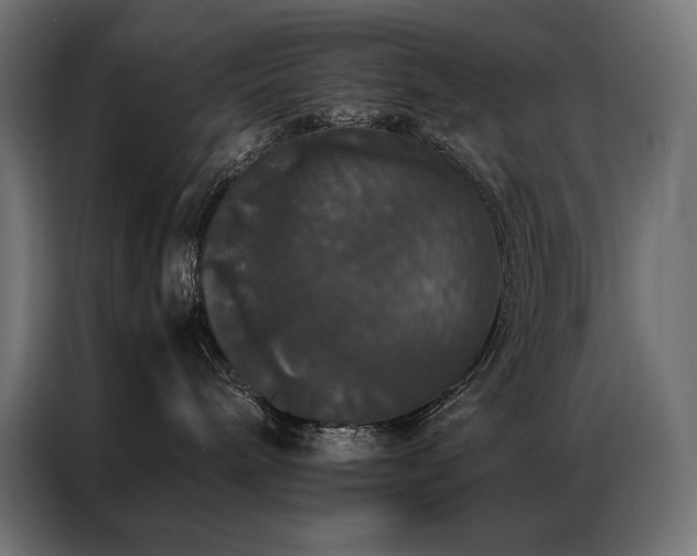 X0000087020240200704161606