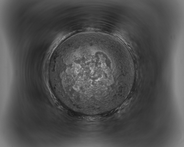 X0000087020241200704161606