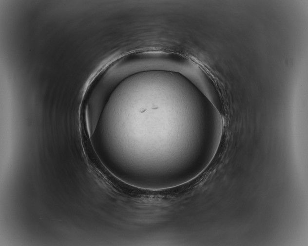 X0000087020244200704161606