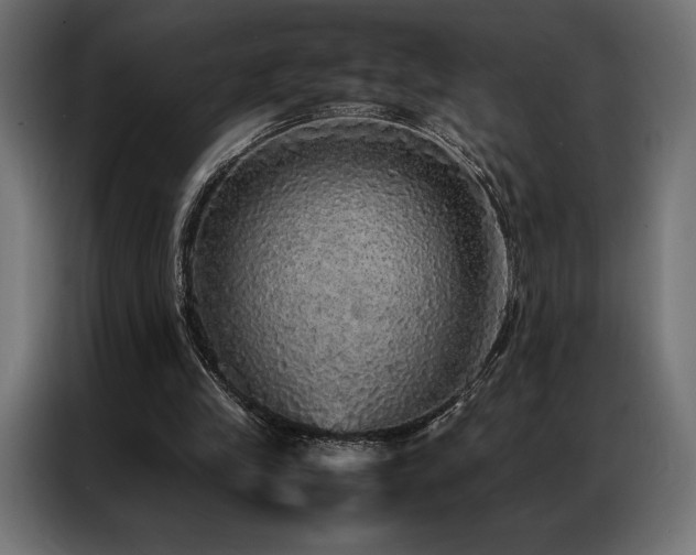 X0000087020245200704161606