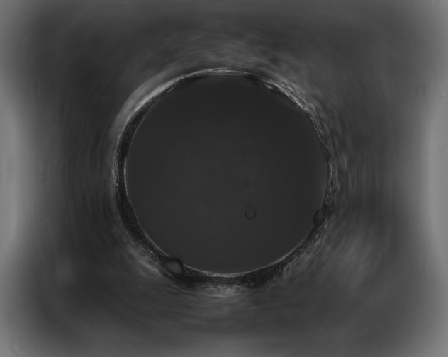 X0000087020247200704161606