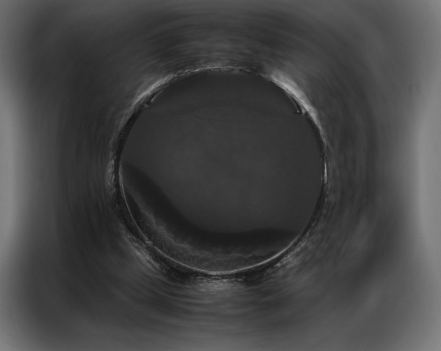 X0000087020249200704161606