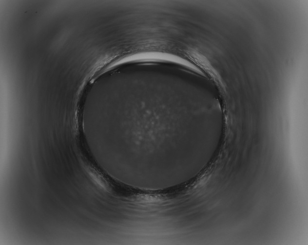 X0000087020250200704161606