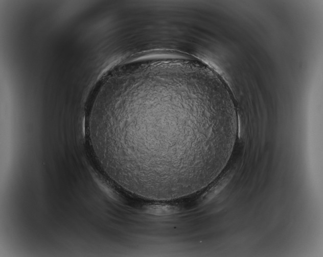 X0000087020253200704161606