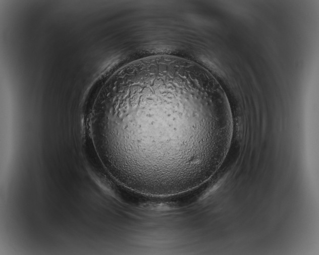 X0000087020254200704161606