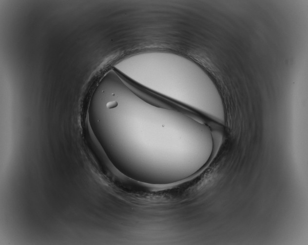 X0000087020256200704161606