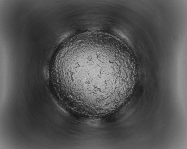 X0000087020257200704161606