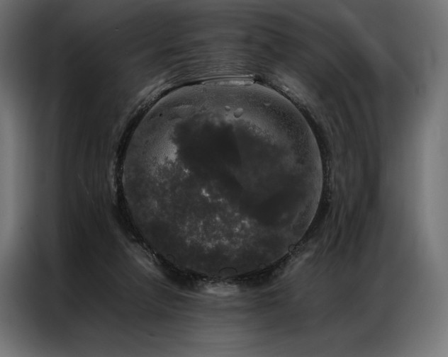 X0000087020258200704161606