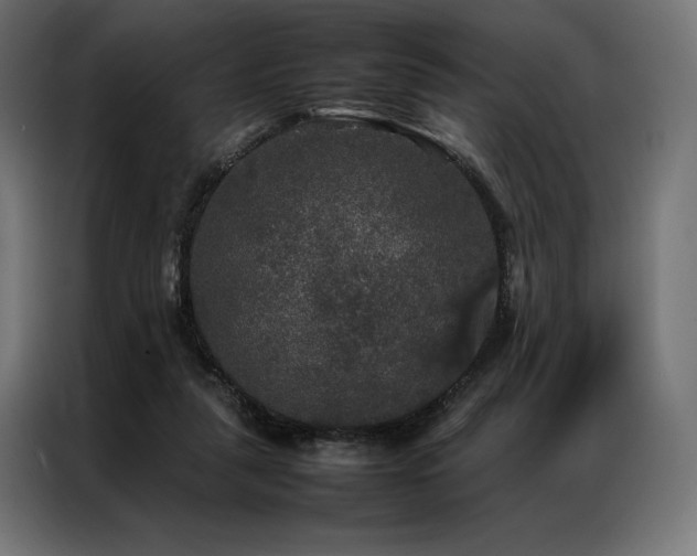 X0000087020259200704161606