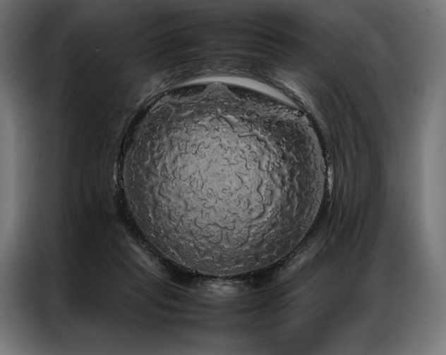 X0000087020261200704161606