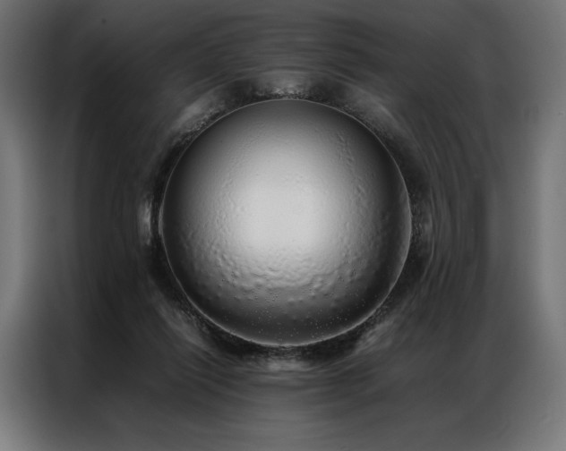 X0000087020262200704161606