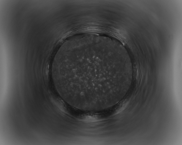 X0000087020263200704161606