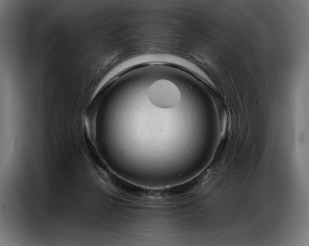 X0000087020264200704161606